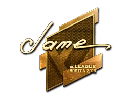 印花 | Jame（金色）| 2018年波士顿锦标赛