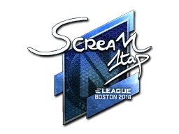 印花 | ScreaM(闪亮)| 2018年波士顿锦标赛