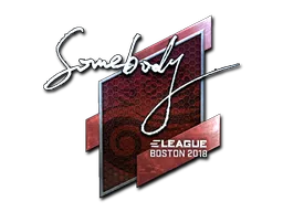 印花 | somebody(闪亮)| 2018年波士顿锦标赛
