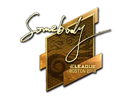 印花 | somebody（金色）| 2018年波士顿锦标赛