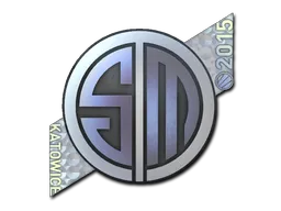 印花 | TSM Kinguin（全息）| 2015年卡托维兹锦标赛
