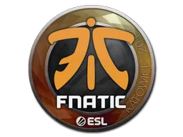 印花 | Fnatic | 2019年卡托维兹锦标赛