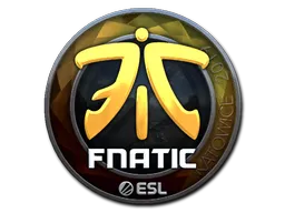 印花 | Fnatic（闪亮）| 2019年卡托维兹锦标赛