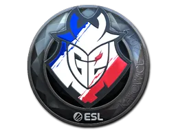 印花 | G2 Esports（闪亮）| 2019年卡托维兹锦标赛