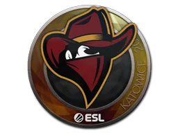 印花 | Renegades | 2019年卡托维兹锦标赛