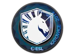 印花 | Team Liquid（全息）| 2019年卡托维兹锦标赛