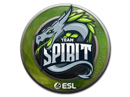 印花 | Team Spirit | 2019年卡托维兹锦标赛