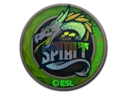 印花 | Team Spirit（全息）| 2019年卡托维兹锦标赛