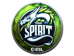 印花 | Team Spirit（闪亮）| 2019年卡托维兹锦标赛