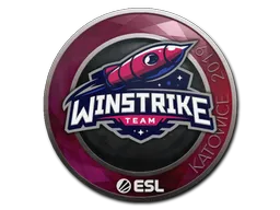 印花 | Winstrike Team | 2019年卡托维兹锦标赛