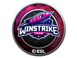 印花 | Winstrike Team（闪亮）| 2019年卡托维兹锦标赛