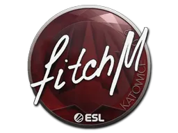 印花 | fitch | 2019年卡托维兹锦标赛