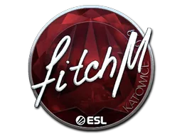 印花 | fitch（闪亮）| 2019年卡托维兹锦标赛