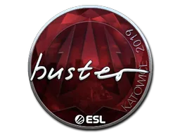 印花 | buster（闪亮）| 2019年卡托维兹锦标赛