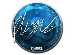 印花 | flusha(闪亮)| 2019年卡托维兹锦标赛