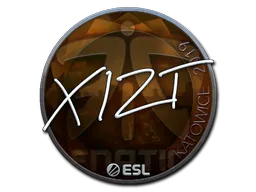 印花 | Xizt（闪亮）| 2019年卡托维兹锦标赛