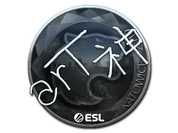 印花 | arT（闪亮）| 2019年卡托维兹锦标赛