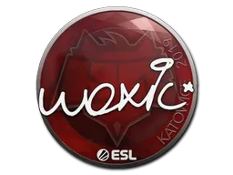 印花 | woxic | 2019年卡托维兹锦标赛