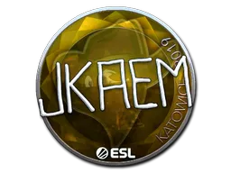 印花 | jkaem（闪亮）| 2019年卡托维兹锦标赛
