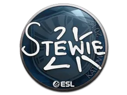 印花 | Stewie2K | 2019年卡托维兹锦标赛