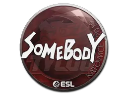 印花 | somebody | 2019年卡托维兹锦标赛
