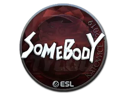 印花 | somebody（闪亮）| 2019年卡托维兹锦标赛