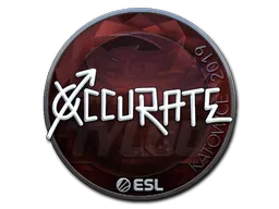 印花 | xccurate（闪亮）| 2019年卡托维兹锦标赛