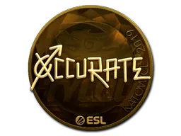 印花 | xccurate（金色）| 2019年卡托维兹锦标赛