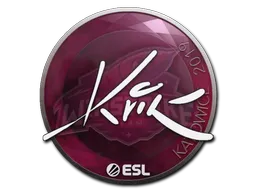 印花 | Kvik | 2019年卡托维兹锦标赛