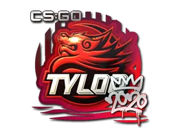 印花 | TYLOO | 2020 RMR