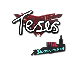 印花 | TeSeS | 2021年斯德哥尔摩锦标赛