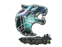印花 | FURIA(全息)| 2022年安特卫普锦标赛