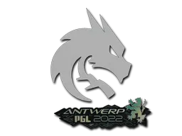 印花 | Team Spirit | 2022年安特卫普锦标赛