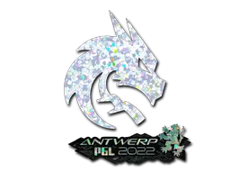印花 | Team Spirit（闪耀）| 2022年安特卫普锦标赛