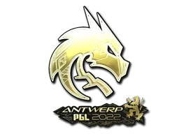 印花 | Team Spirit（金色）| 2022年安特卫普锦标赛