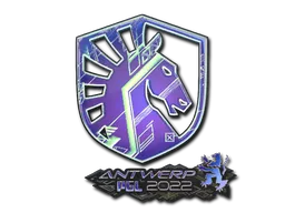 印花 | Team Liquid（全息）| 2022年安特卫普锦标赛