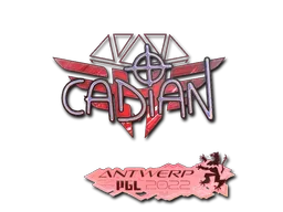 印花 | cadiaN(全息) | 2022年安特卫普锦标赛