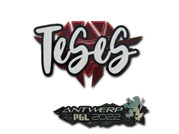 印花 | TeSeS | 2022年安特卫普锦标赛