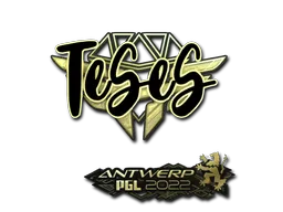 印花 | TeSeS（金色） | 2022年安特卫普锦标赛