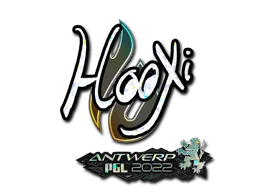 印花 | HooXi（闪耀） | 2022年安特卫普锦标赛