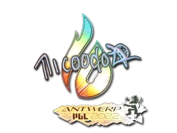 印花 | nicoodoz（全息） | 2022年安特卫普锦标赛