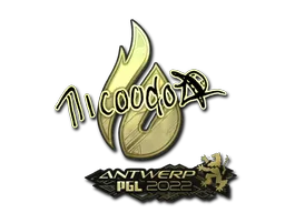 印花 | nicoodoz(金色) | 2022年安特卫普锦标赛