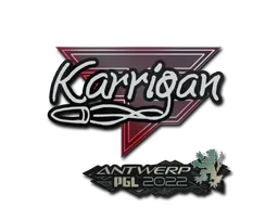 印花 | karrigan | 2022年安特卫普锦标赛