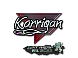 印花 | karrigan（闪耀） | 2022年安特卫普锦标赛
