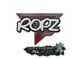 印花 | ropz | 2022年安特卫普锦标赛