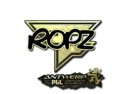 印花 | ropz（金色） | 2022年安特卫普锦标赛