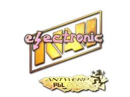 印花 | electronic(全息) | 2022年安特卫普锦标赛