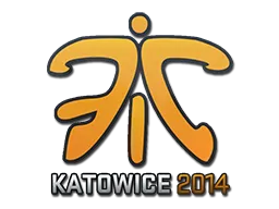 印花 | Fnatic | 2014年卡托维兹锦标赛