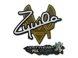 印花 | ZywOo | 2022年安特卫普锦标赛