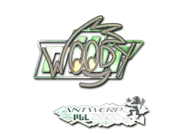 印花 | WOOD7(全息)| 2022年安特卫普锦标赛